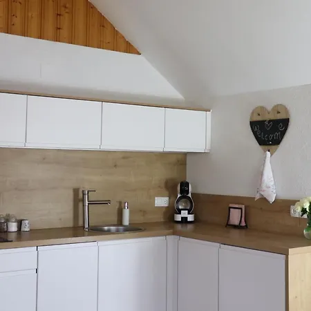 Lusht'n Apartma Apartamento Zirovnica