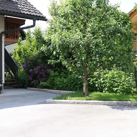 Lusht'n Apartma *
