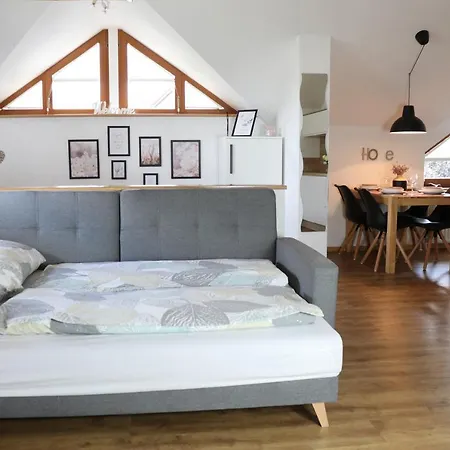 Apartman Lusht'n Apartma Žirovnica